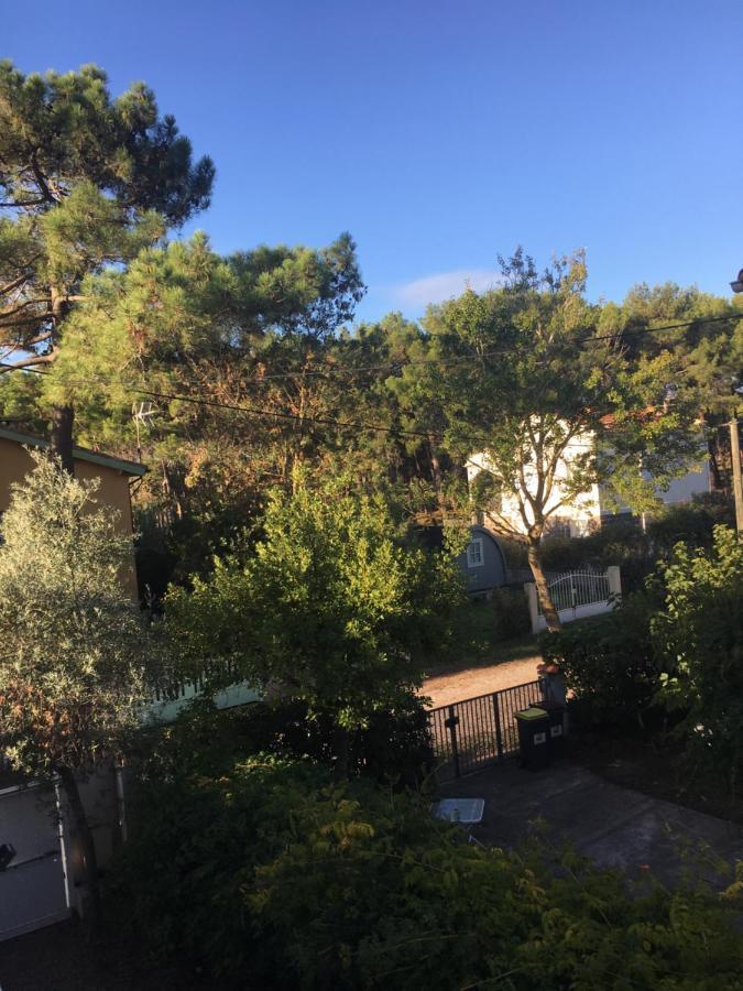 Villa L'Amiraute 阿格德 外观 照片